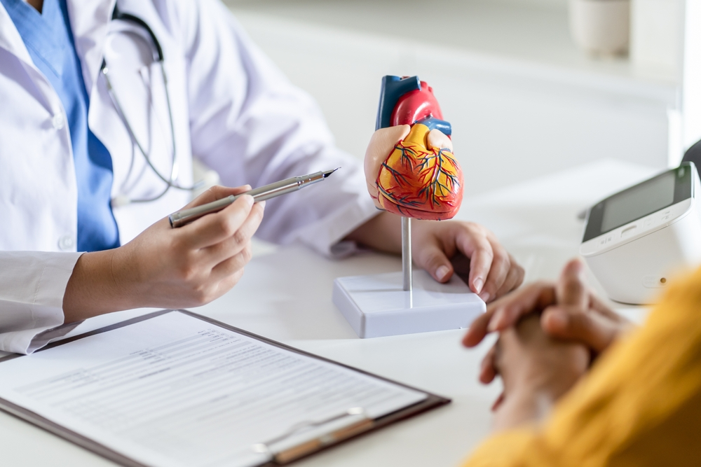 cardiologist pointing at model of human heart