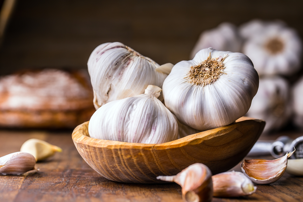 bulbs and cloves of garlic